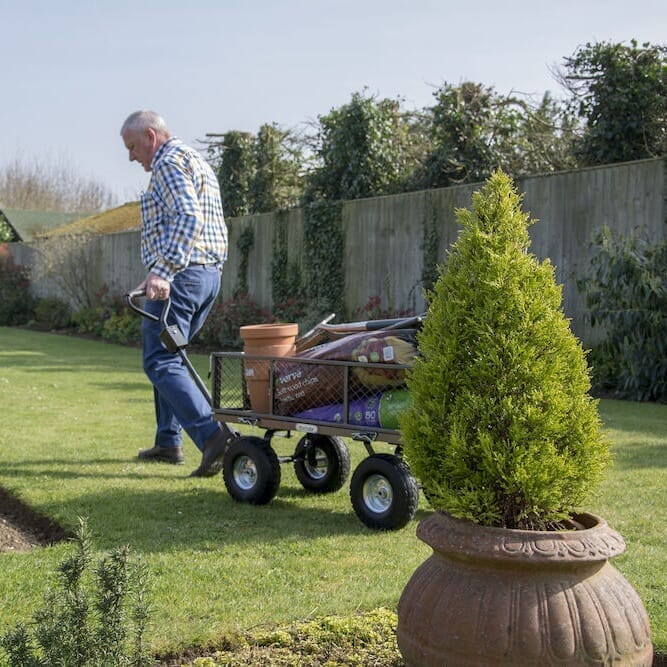 1938_49917c20 401f 41c9 a8fd a82c520cf834