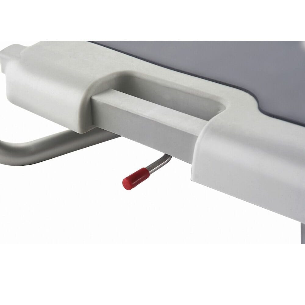 1938_a393a529 982e 4546 9d49 d5fd6aa7ec7e