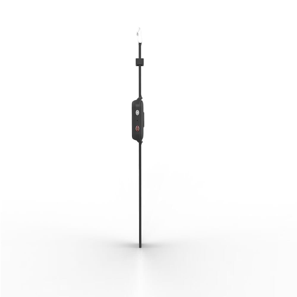 1938_bf77a4b4 37f5 4411 b98a 4461632fc24f