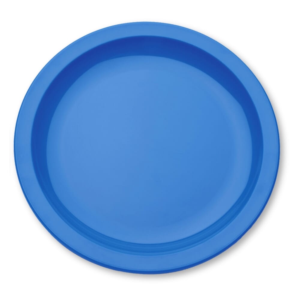 Antibacterial Plate Blue Large