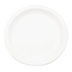 Antibacterial Plate - White - Small