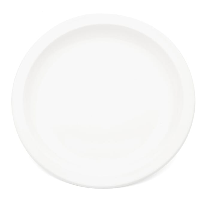 antibacterial plate white