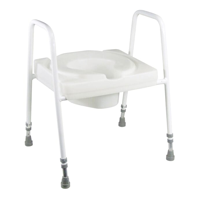 ashby lux toilet seat and frame