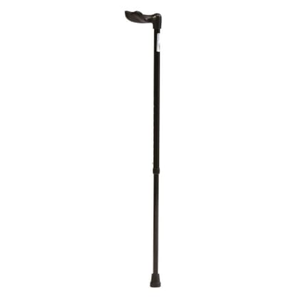 Black Palm Grip Walking Stick