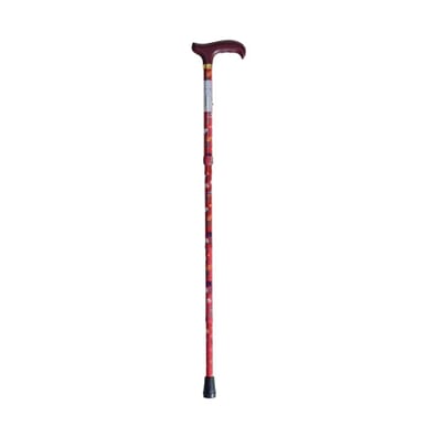 Deluxe Extendable Walking Stick