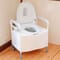 Dignity Commode