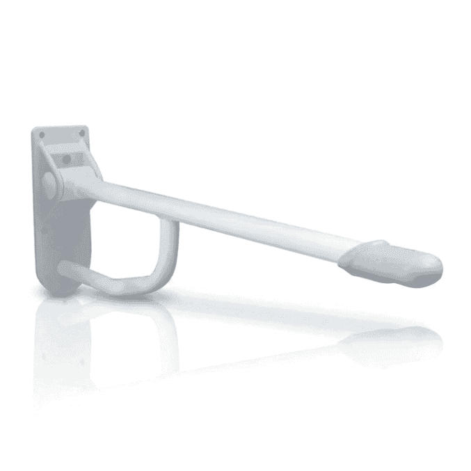 drop down toilet rail