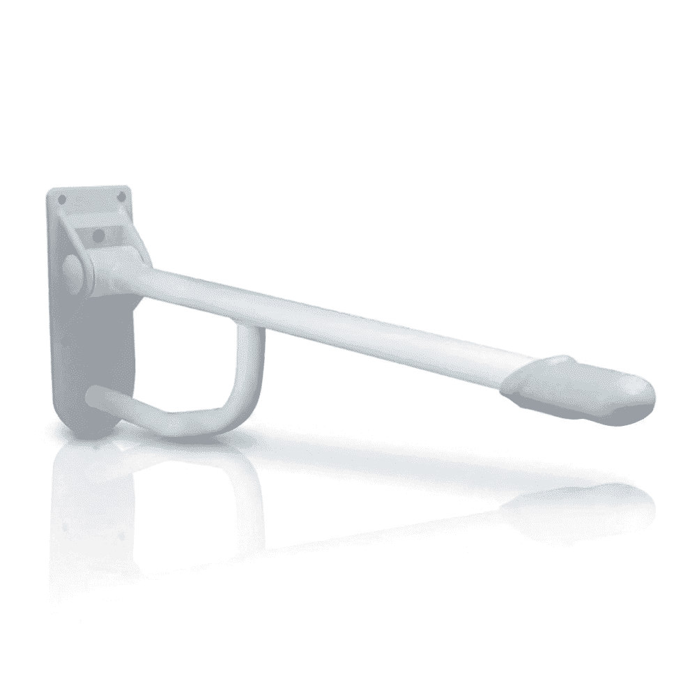 Drop Down Toilet Rail