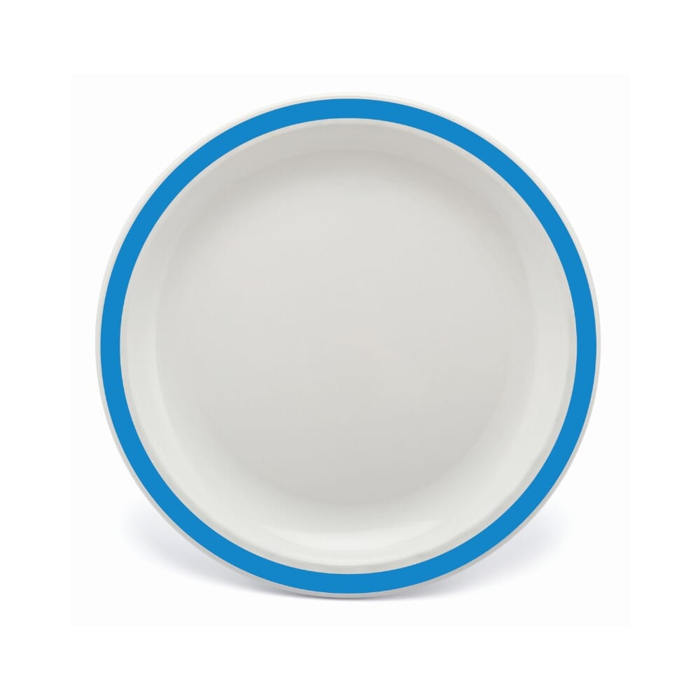 duo plate 17cm blue