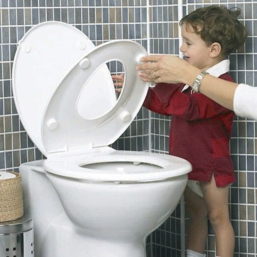2-In-1 Family Toilet Seat