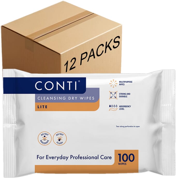 economy dry wipes 12 packs