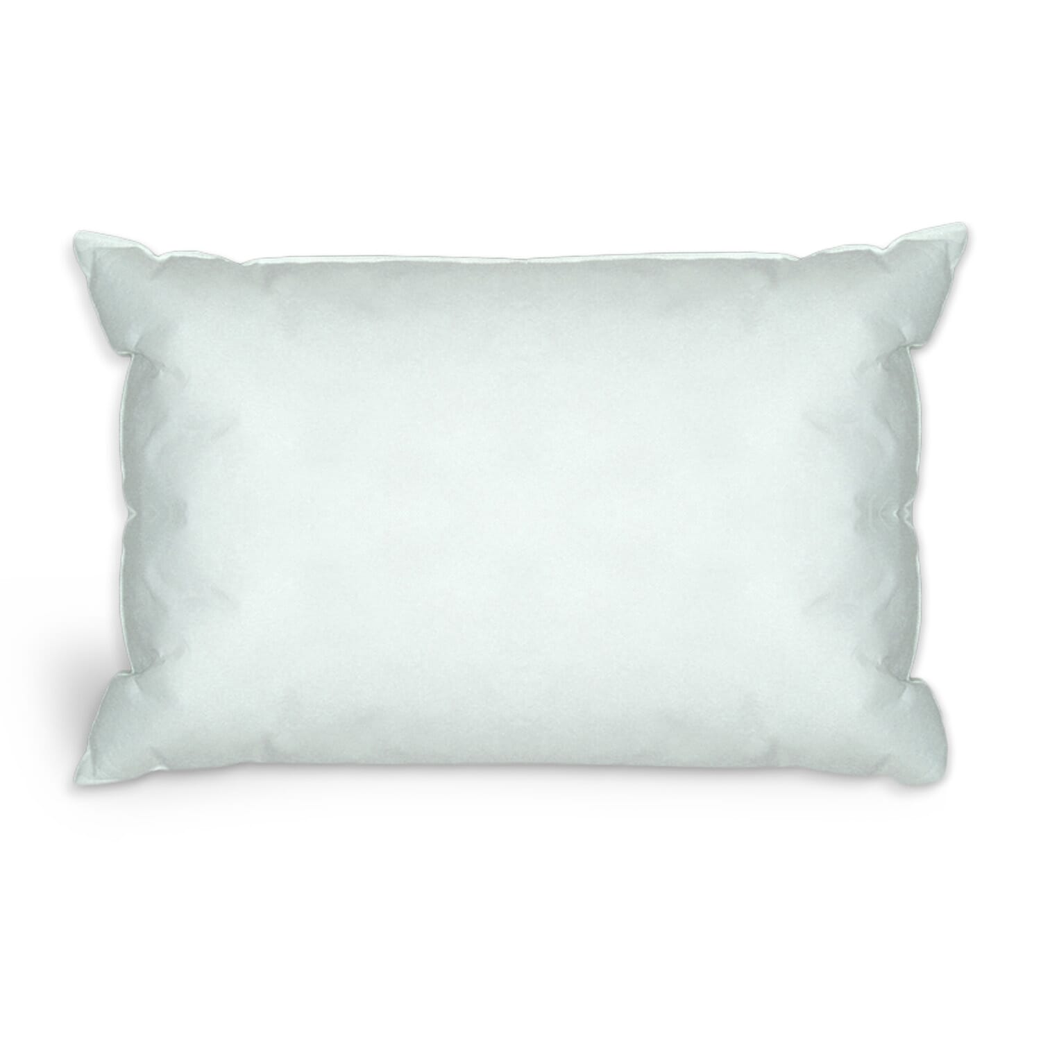 Economy Waterproof Pillow