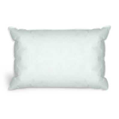 Economy Waterproof Pillow