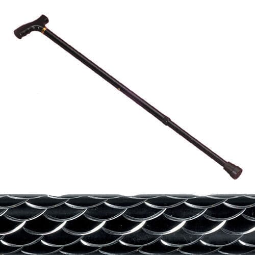 Etched Adjustable Walking Stick
