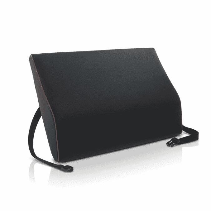harley bari care designer spine support