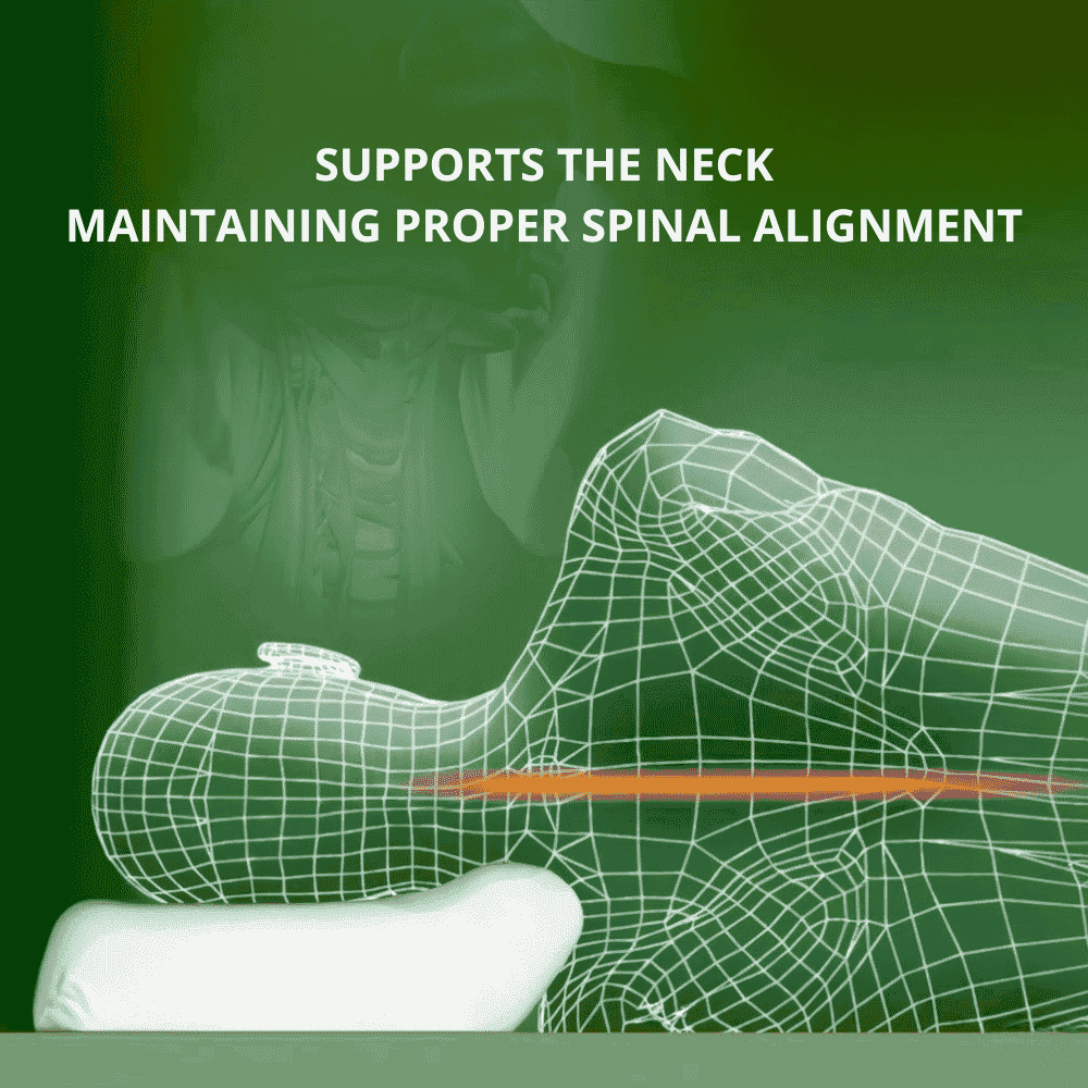 harley designer pillows supports the neck