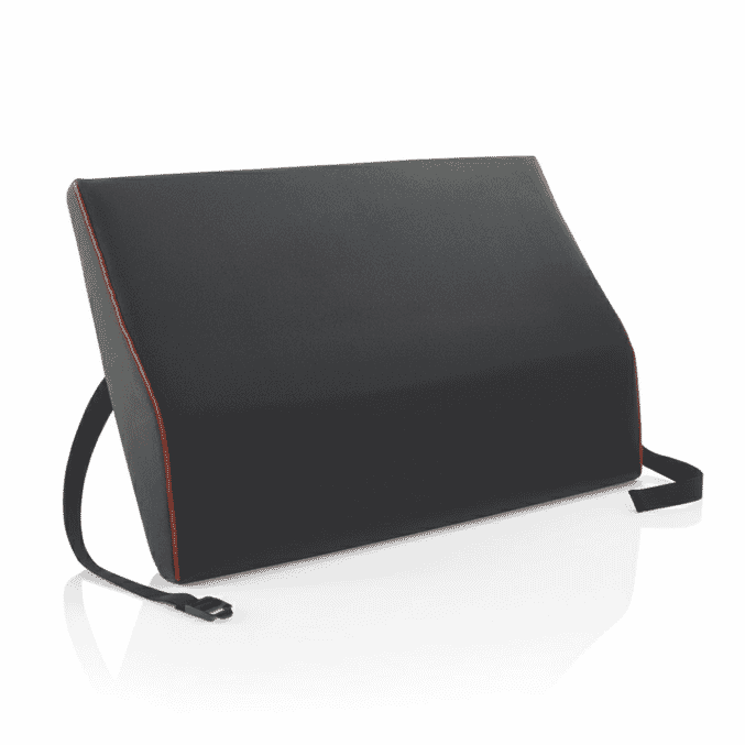 harley designer spine support