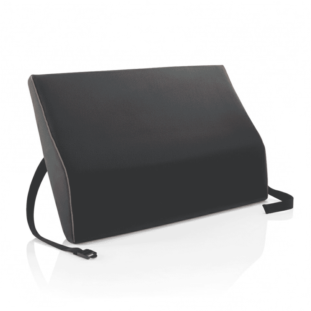 Harley Designer Spine Support