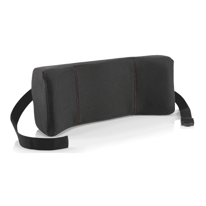 harley designer winged support