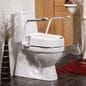 View Etac HiLoo II Fixed Raised Toilet Seat with Armrests 100mm information