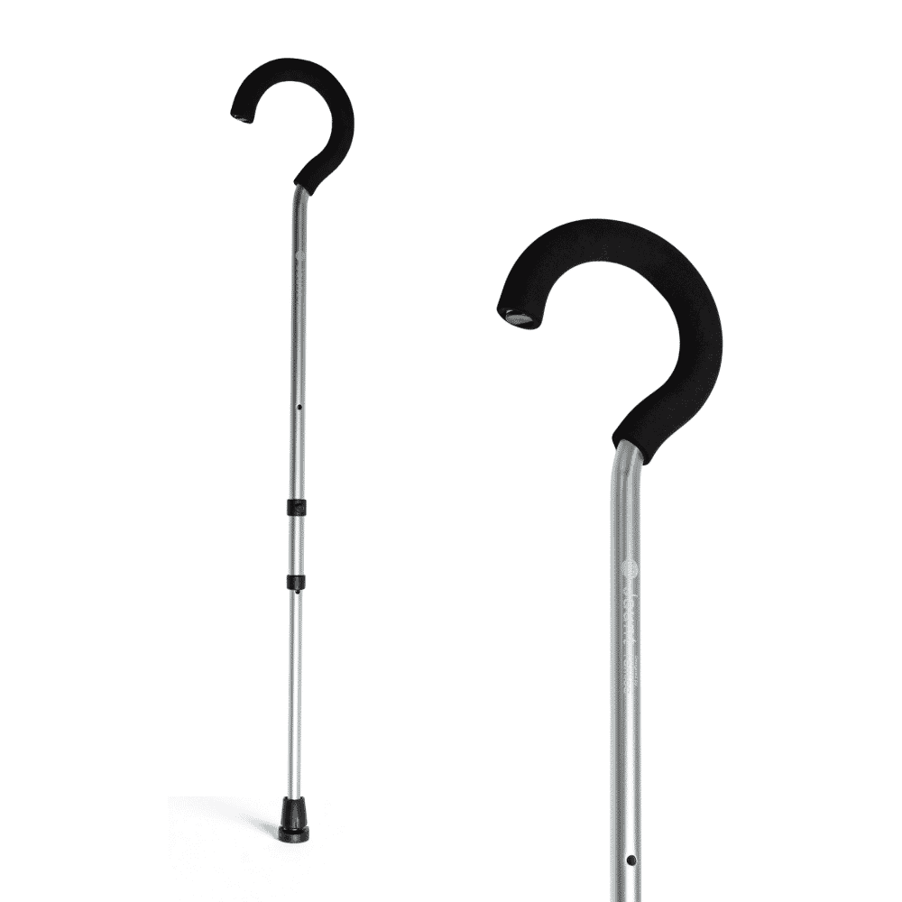 jaunt walking stick silver
