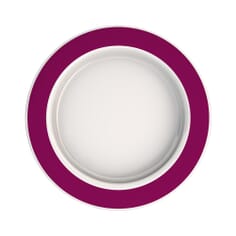 Large Plate with Sloped Base - Rim Blackberry