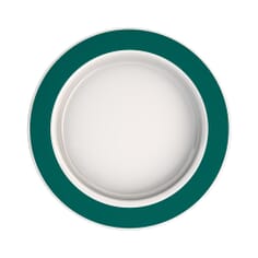 Large Plate with Sloped Base - Rim Teal