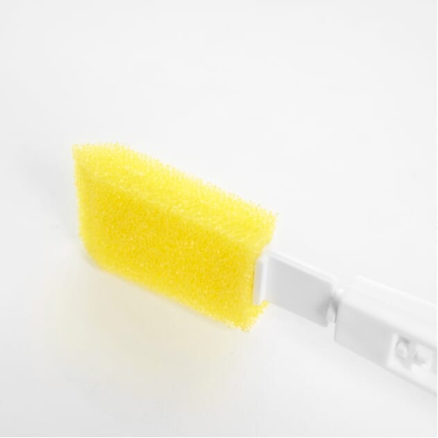 long handled foot sponge end