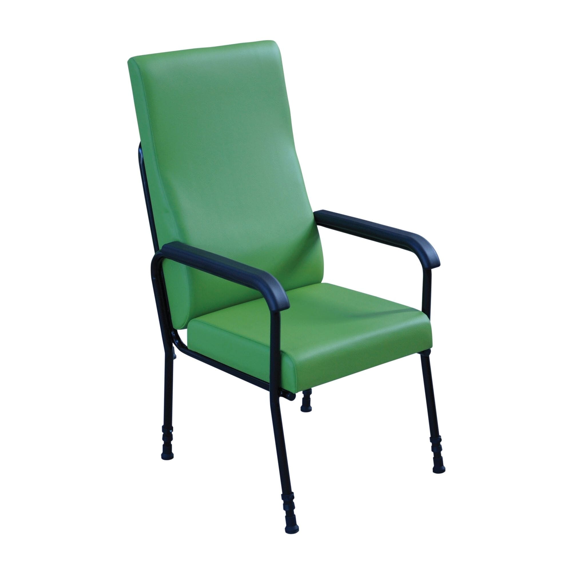 longfield lounge chair green