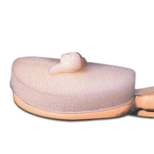 View Lotion Applicator Replacement Sponges information