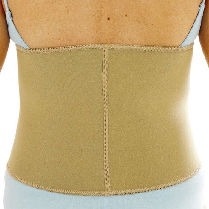 View Lower Back And Waist Support Large information