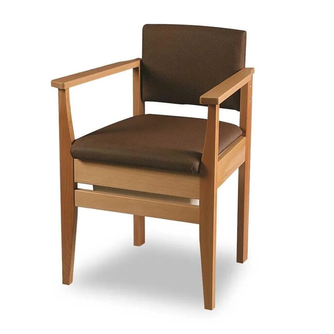 luxury ergo commode chair