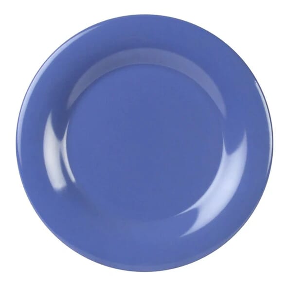 melamine shatterproof plate medium blue