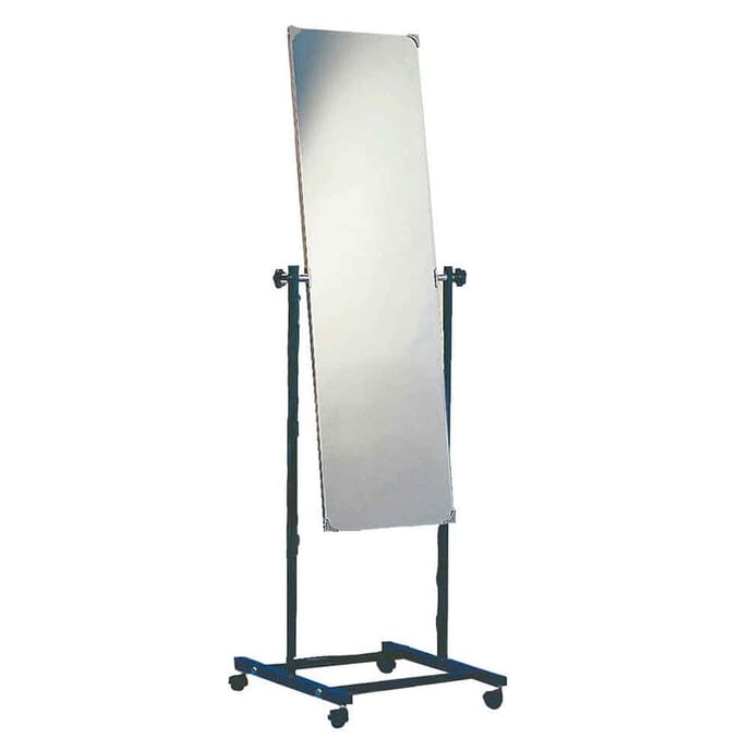 mobile posture mirror