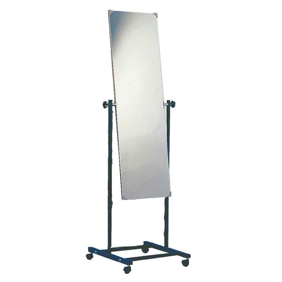 Mobile Posture Mirror