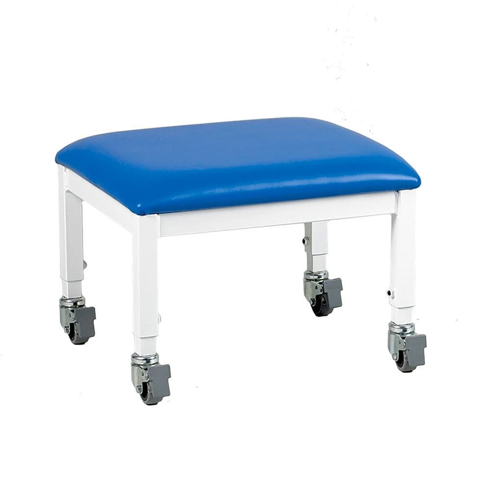 View Mobile Therapy Stool information