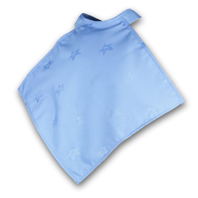 napkin clothing protector blue single