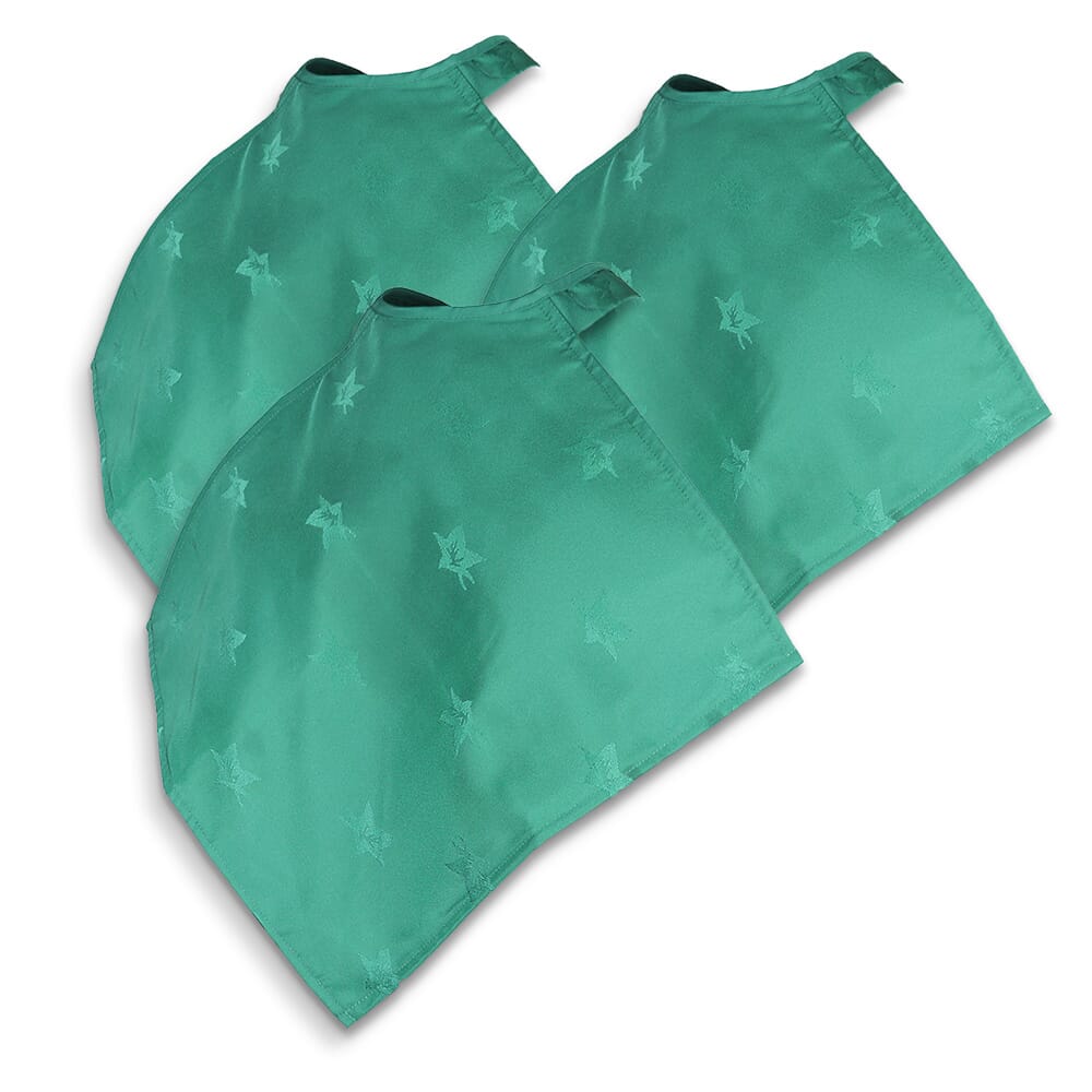 View Napkin Clothing Protector Green Pack of 3 information