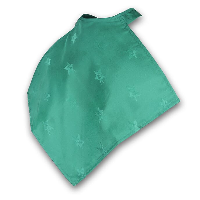 napkin clothing protector green single