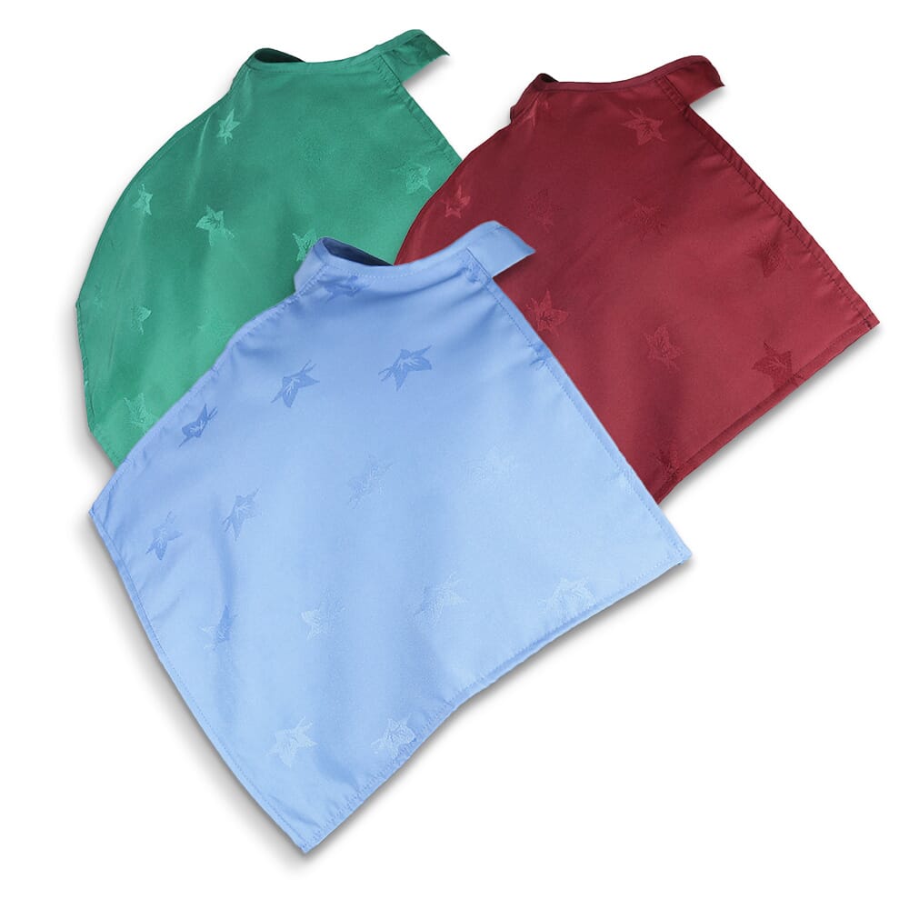 View Napkin Clothing Protector Blue Pack of 3 information