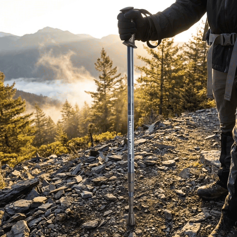 nordic walking stick blue in use