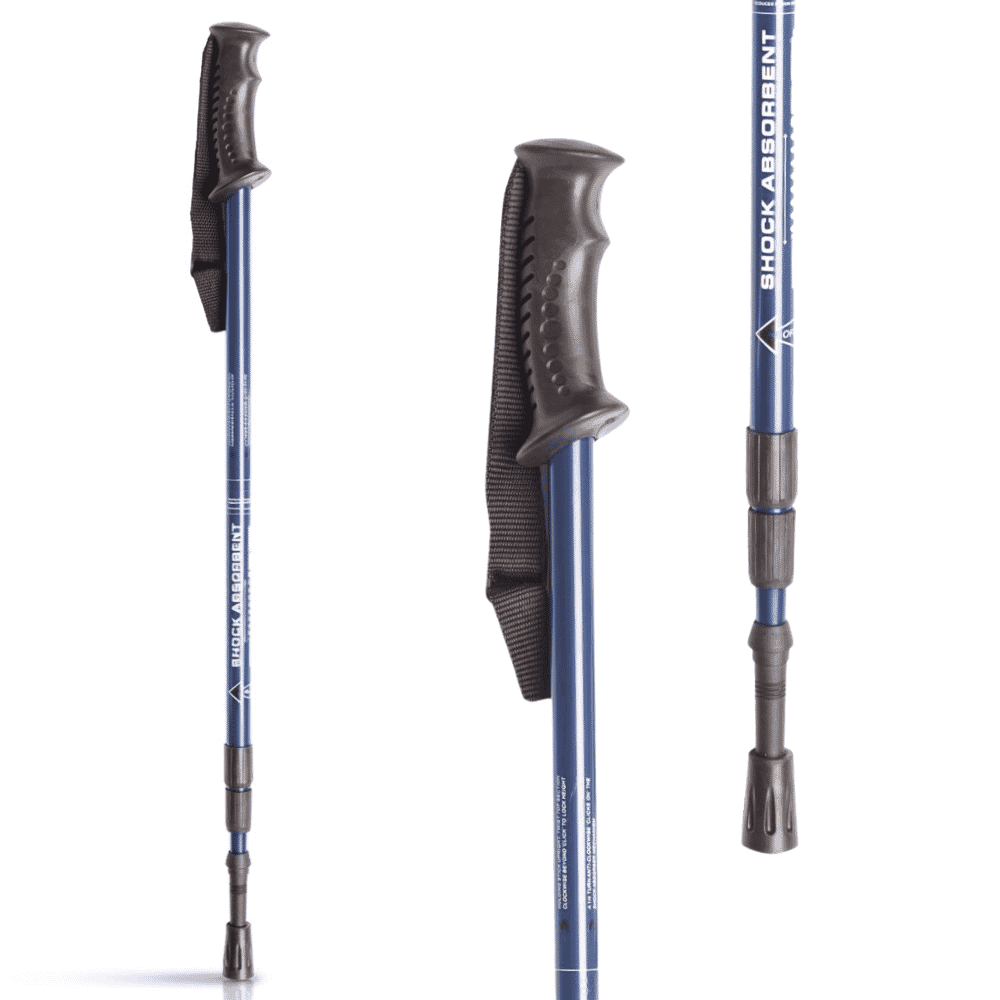 nordic walking stick blue