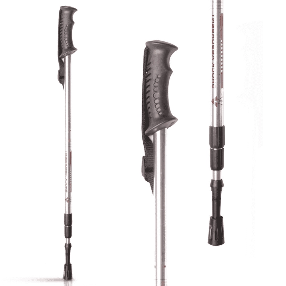 Nordic Walking Stick Silver