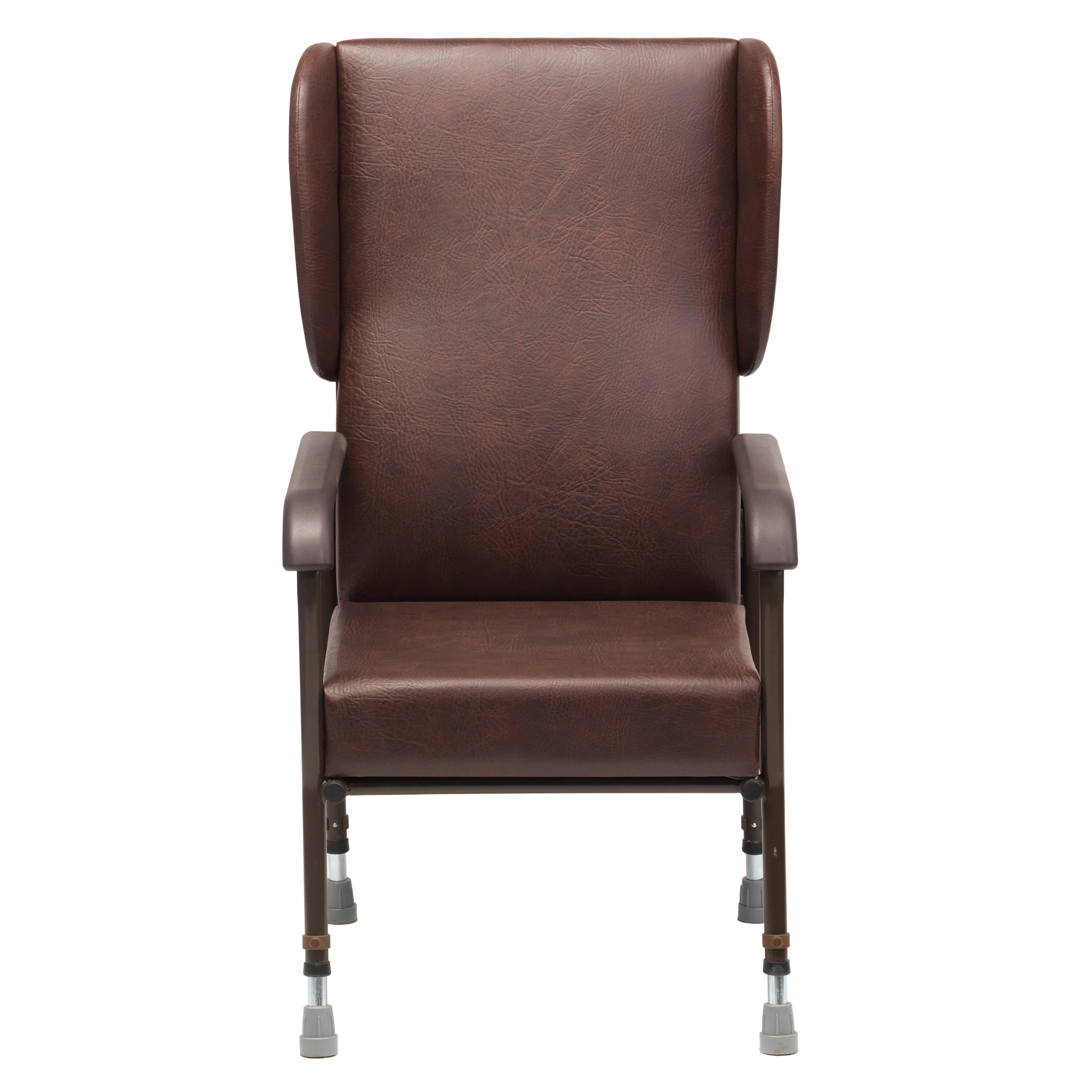 oakham chair with wings from front