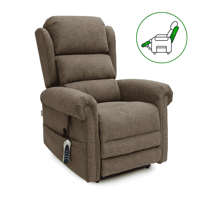 petite dallux everest dual motor riser recliner bark