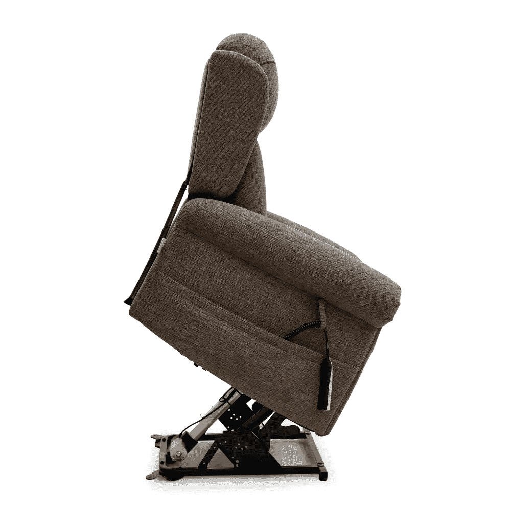 petite dallux everest triple motor riser recliner bark rising