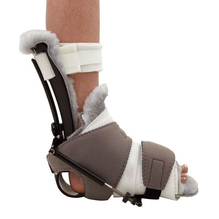 phase_ii_multi_podus_3_1