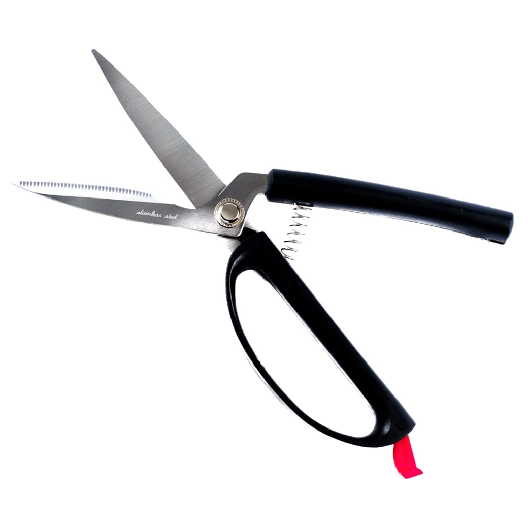 Buy Adaptive Scissors & Shears