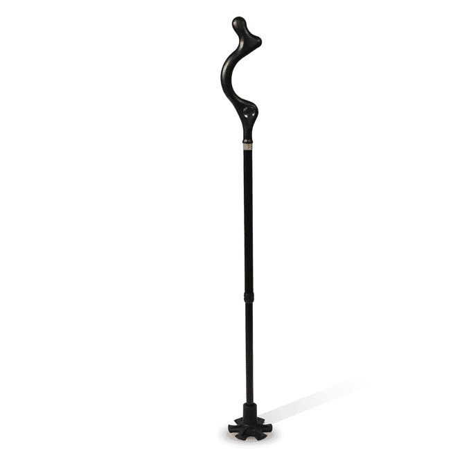 posture cane