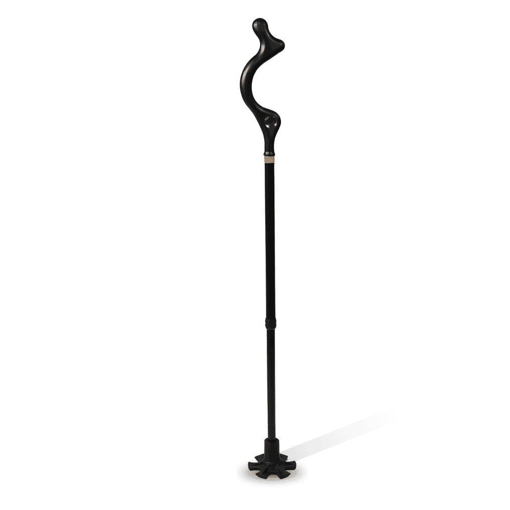 Posture Cane